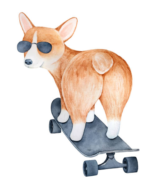 Skateboard for Dogs