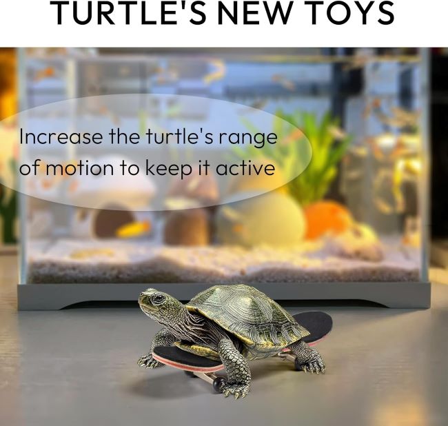 Close-up of JJMOLLE Turtle Skateboard Mini showing durable wheels and pet-safe design.