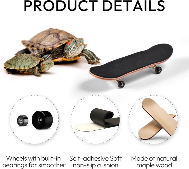 Tortoise playing on the JJMOLLE Mini Skateboard toy for small pets and birds.