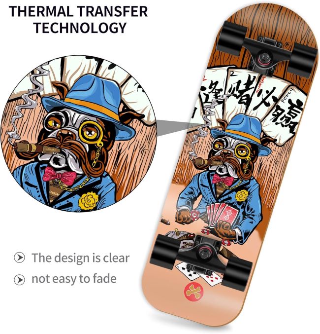 LOsenka pet skateboard designed for small dogs